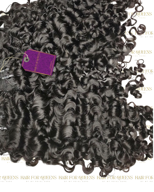 Vietnamese Burmese Curls