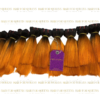 Vietnamese Bone Straight (VIRGIN HAIR WEFT) - Image 5
